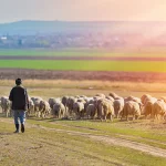 Imágenes pastorales antiguas y nuevas