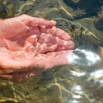 No llorar sobre el agua derramada