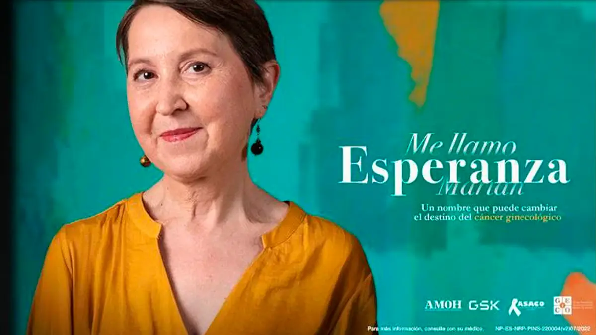 articulo 196 06 quien es tu persona