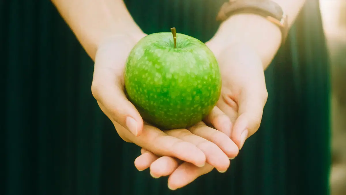 articulo 203 12 salud para todes