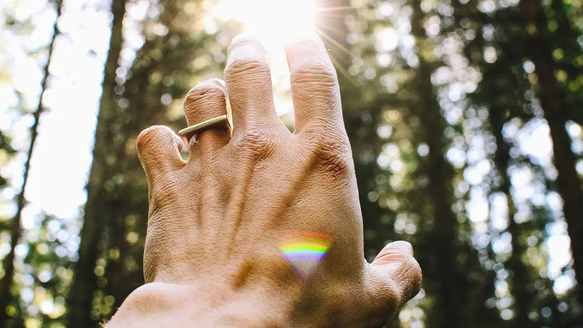 articulo 203 27 una cosa a reparar