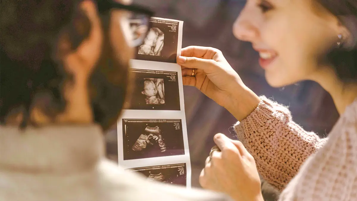 articulo 204 09 belleza salva al mundo