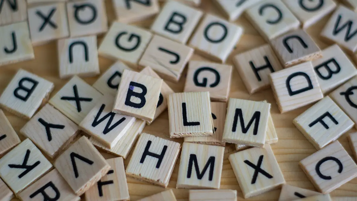 articulo 204 12 la palabra es bella