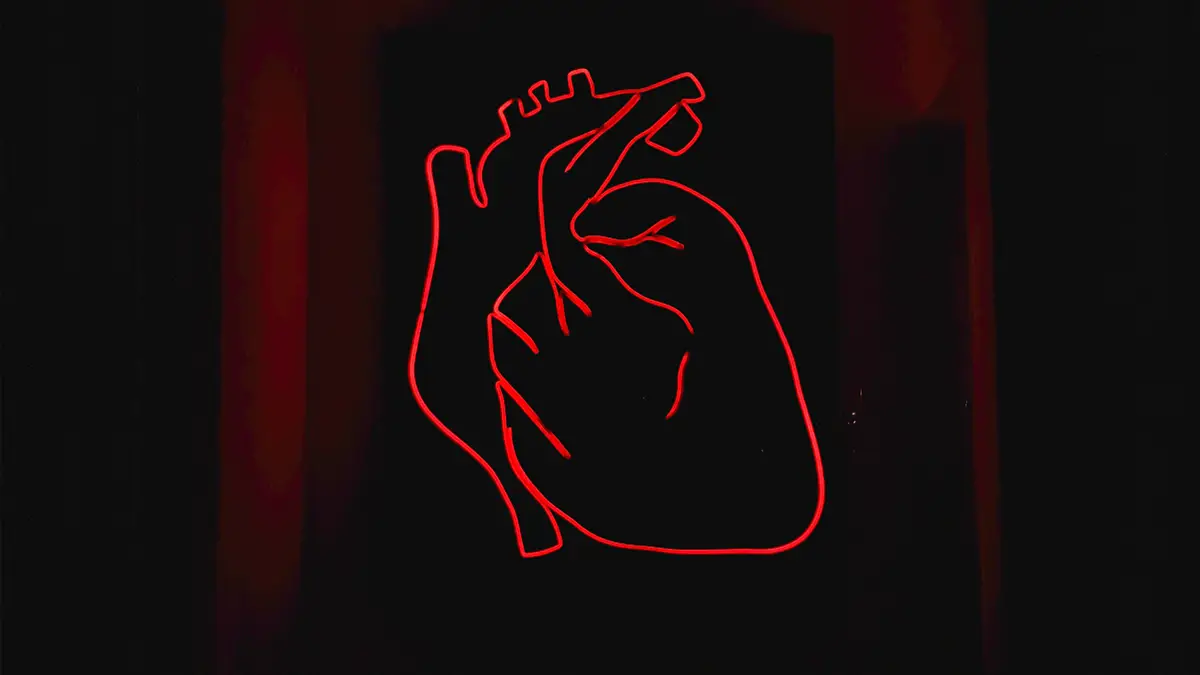 articulo 204 28 mas con el corazon