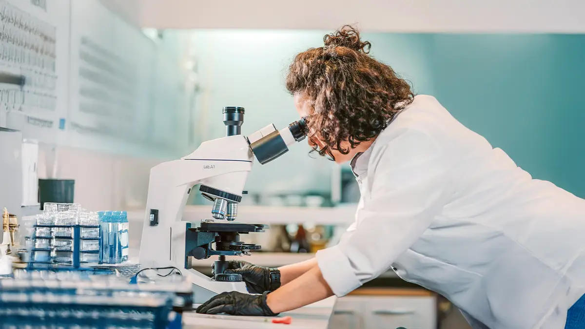 articulo 205 10 el anhelo de la verdad