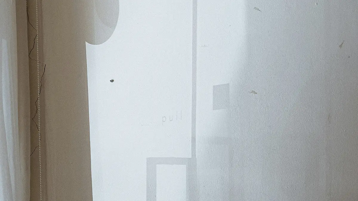 articulo 205 11 el espejo empanado