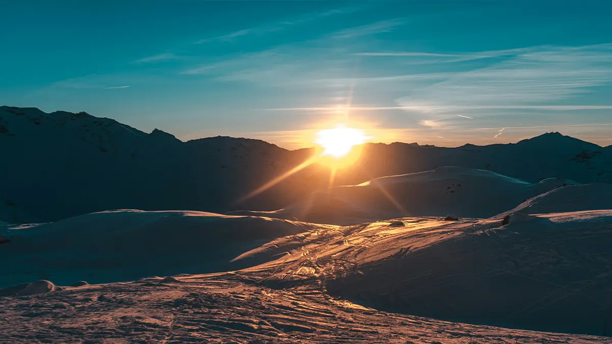 articulo 205 12 la verdad tras la perdida