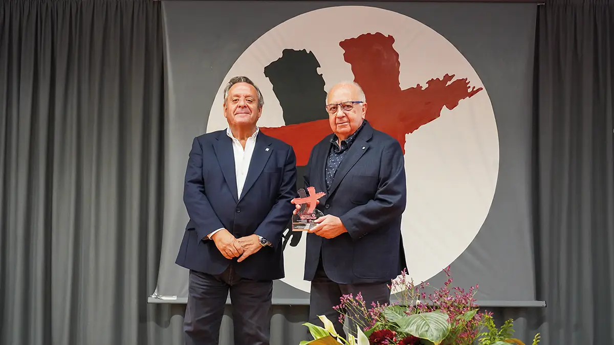 articulo 205 17 red global