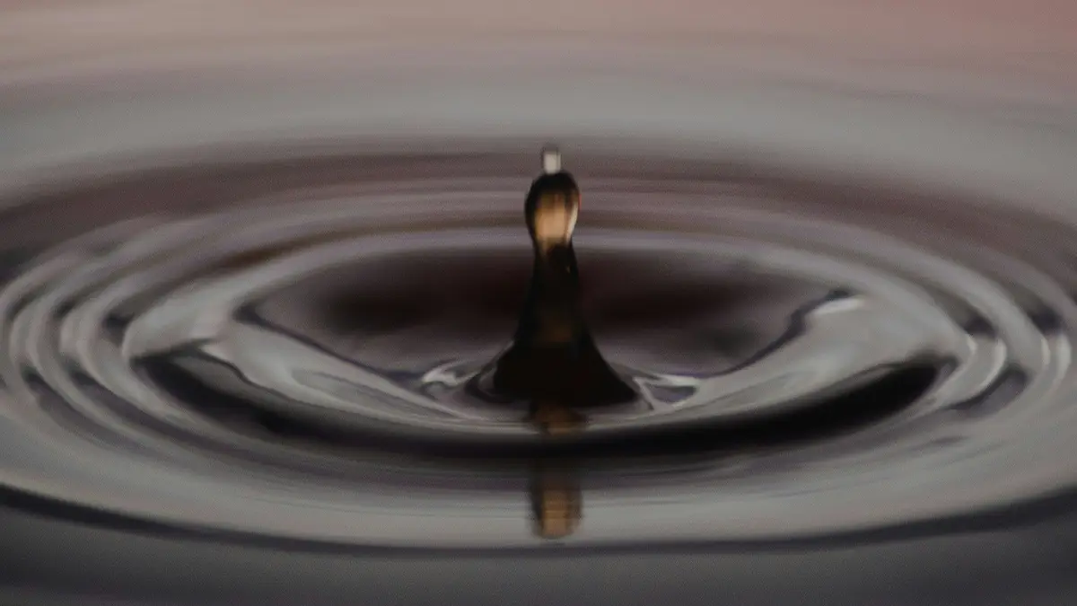 articulo 205 21 momentos de la verdad