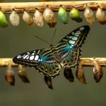 La verdad que cuida, humaniza y transforma