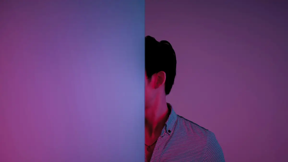 articulo 205 29 vivir sin huir