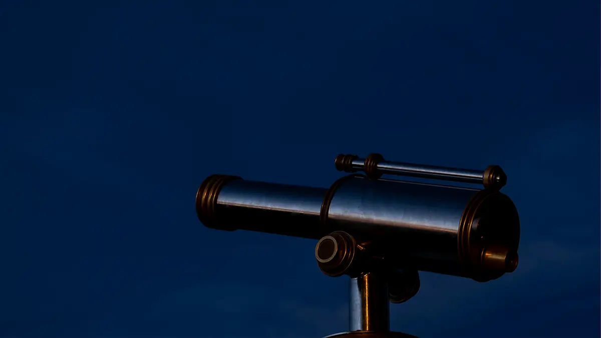 articulo 205 30 la horma de la verdad